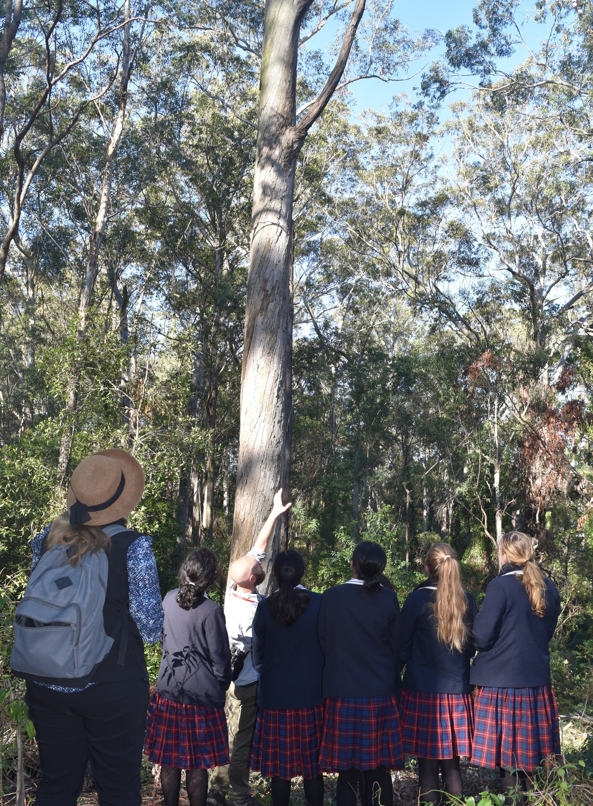 Bennies Bushcare - Stewardship on our Doorstep