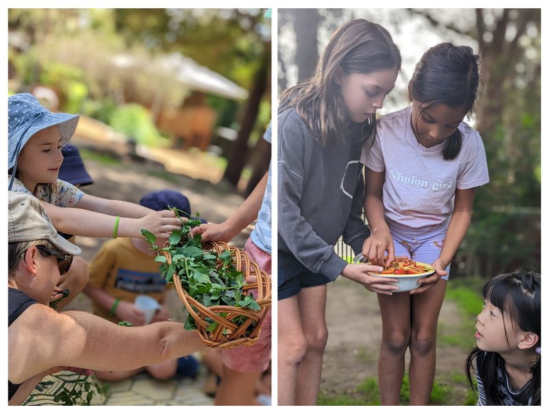 Glenaeon Garden Culture