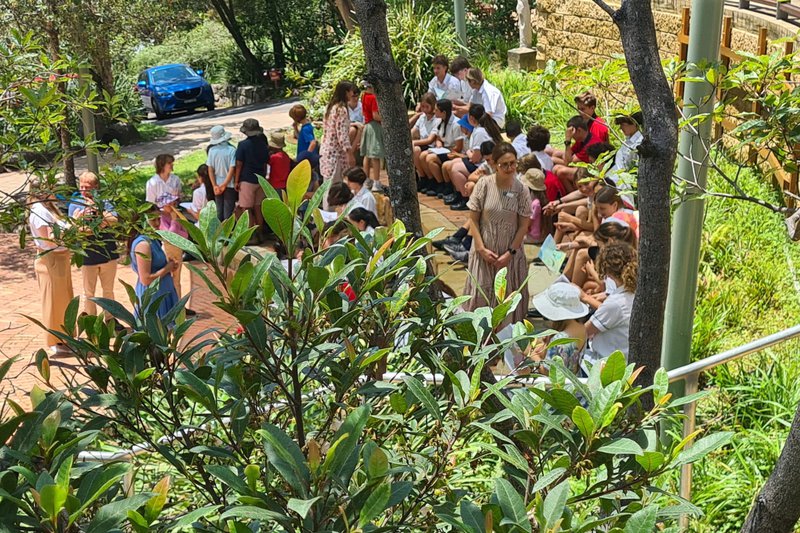 Class 2 Welcome to Middle Cove