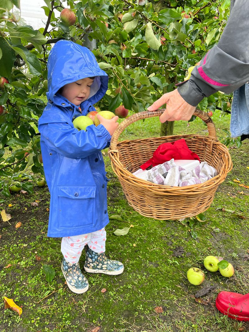 Playgroup Apple Picking and Term 2 Magical Plans