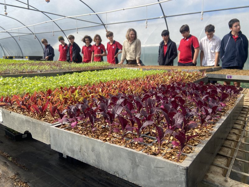 Yr 9 Happenings in The Cove