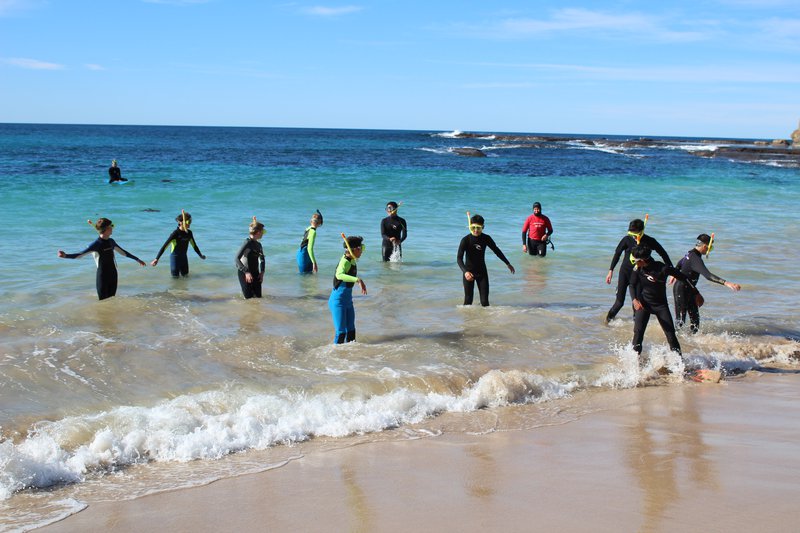 Snorkelling