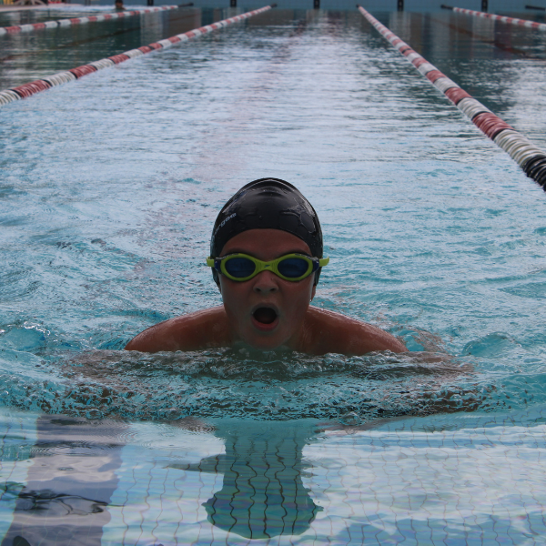 Redfield College Primary Swimming Carnival