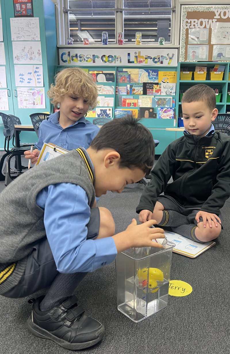 How can you raise the water level to rescue a baby duck?