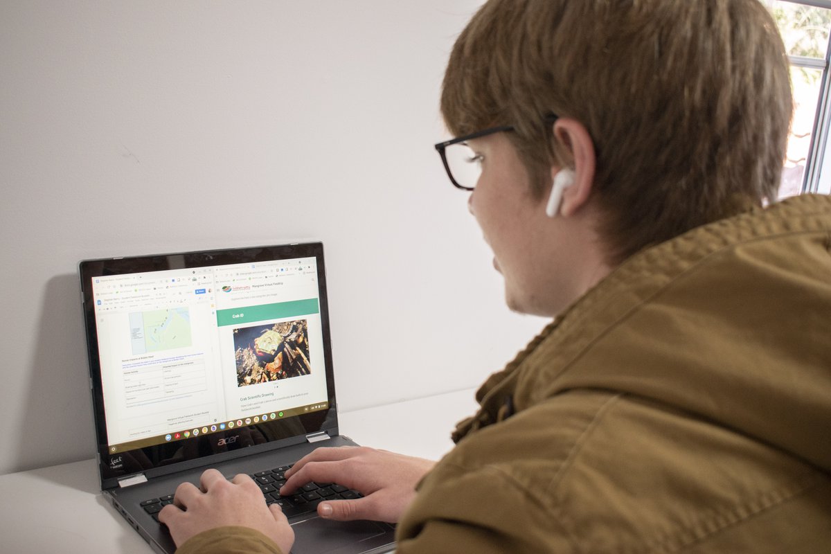 Year 11 Biology students explore mangroves in virtual field trip