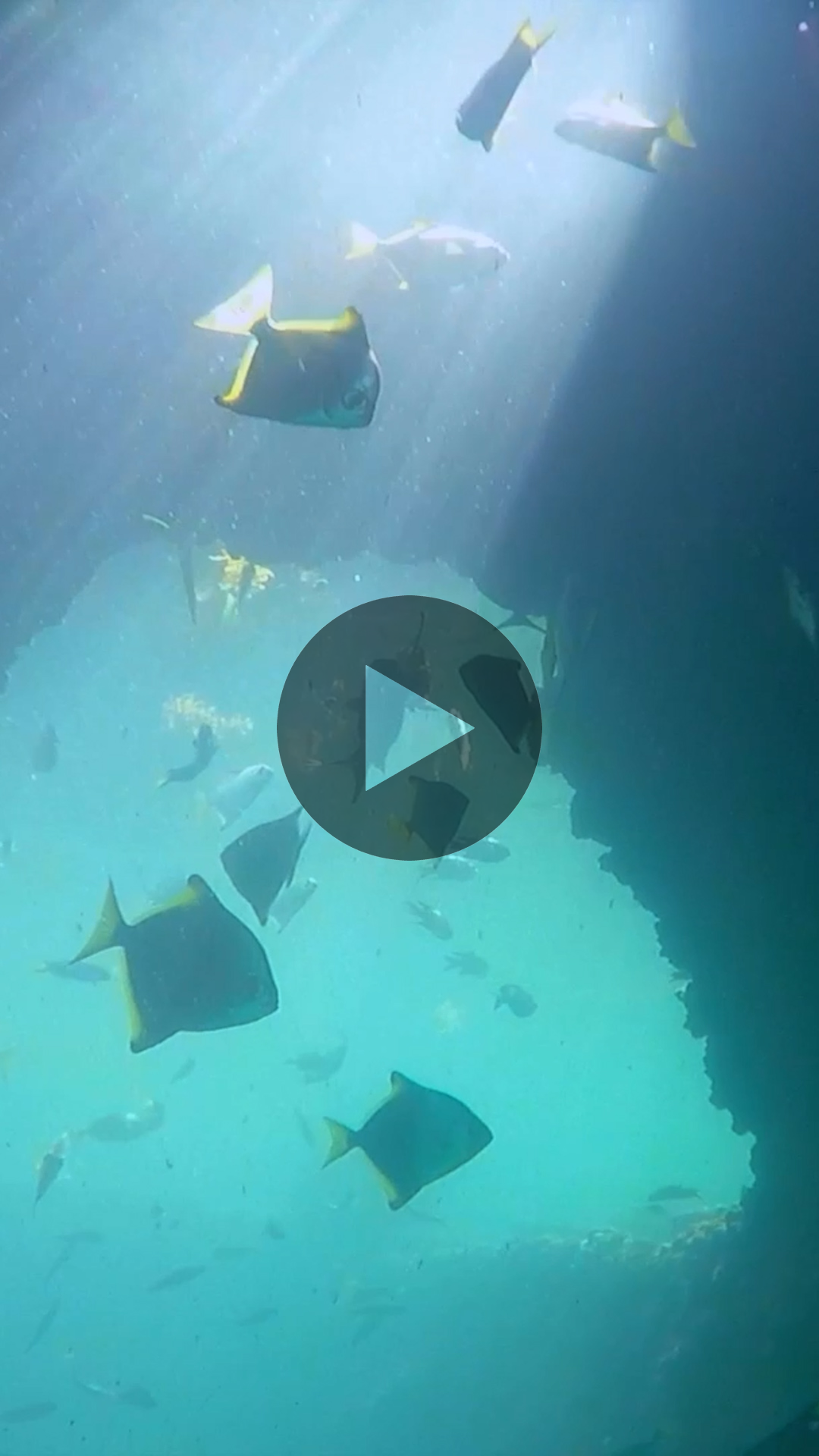 Creative Crew Program at the Play Kids! Festival Pavilion