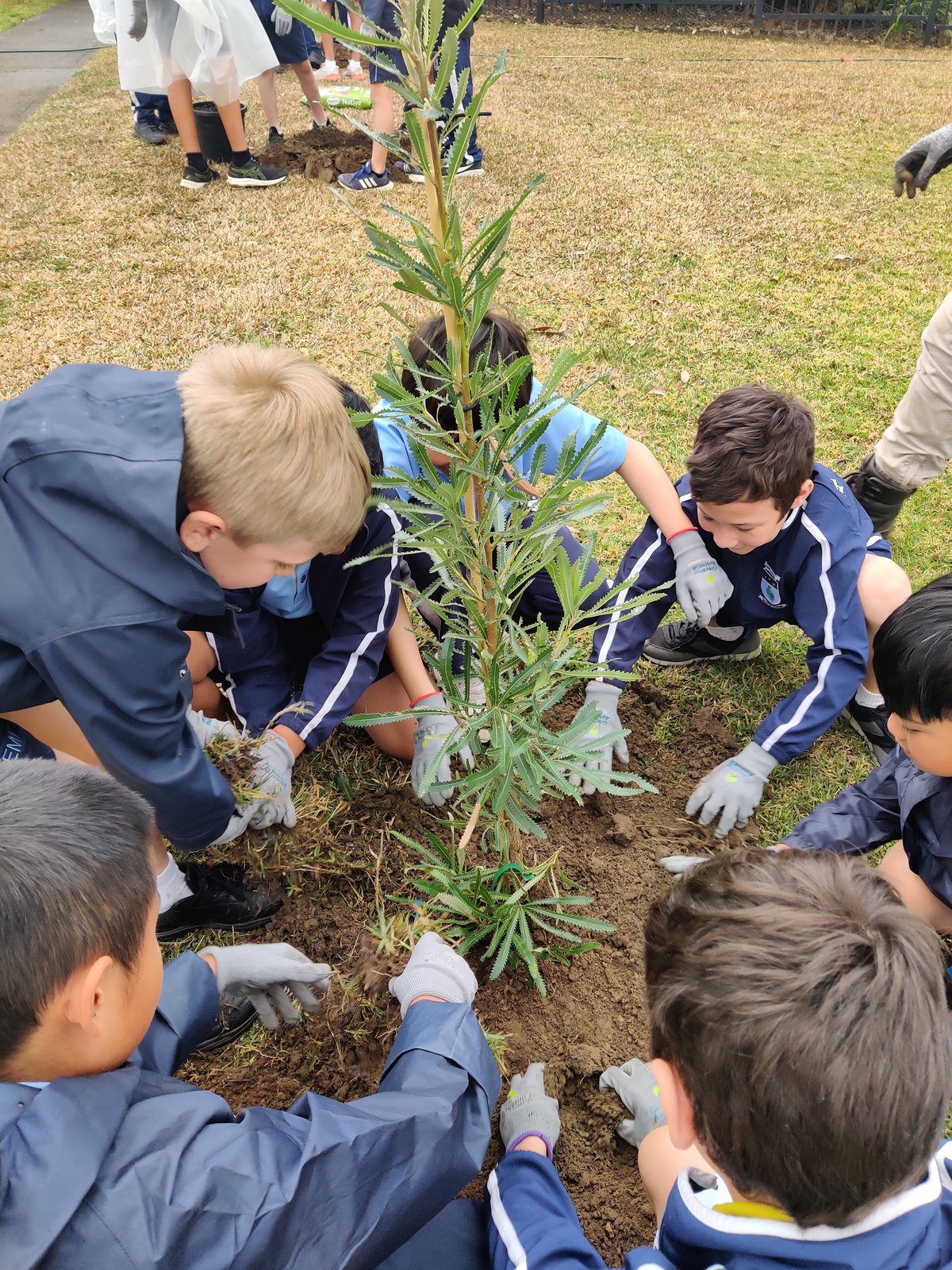 Year 5 Cooling The Schools Tree Planting Day